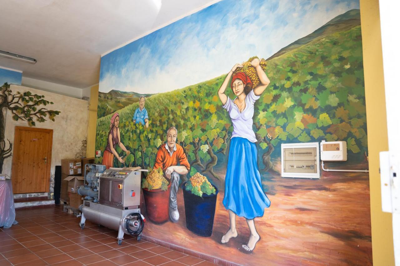 Le Case Nel Vitigno - Modolo Modolo  Esterno foto