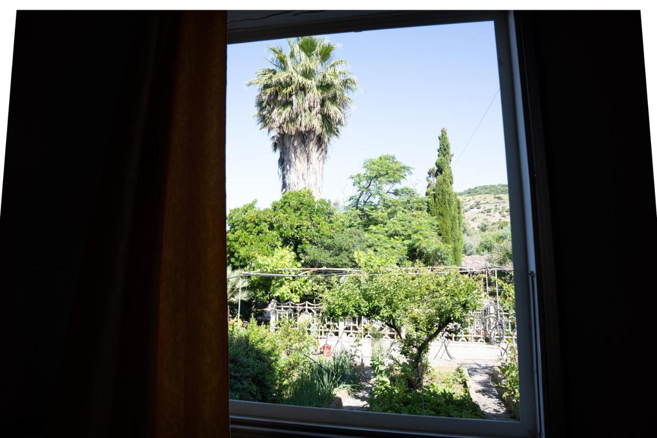 Le Case Nel Vitigno - Modolo Modolo  Esterno foto